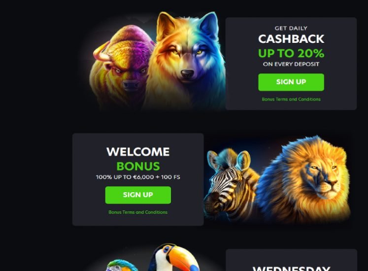 Neospin Casino Bonuses Section