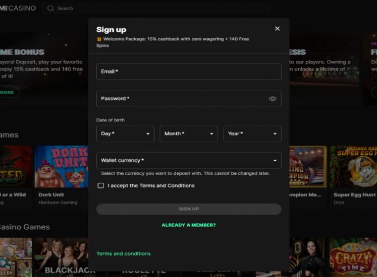 Wagmi Casino Registration Screen