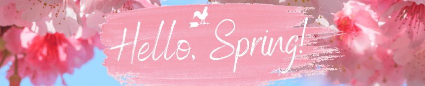 Play and Win with Our Exclusive Spring Bonuses