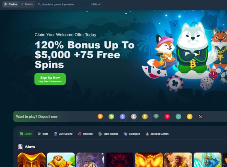 Wild.io Casino Home Page Screen