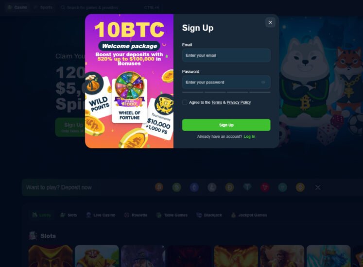 Wild.io Casino Registration Screen