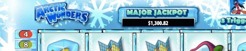 Artcticwonders 857x180 1